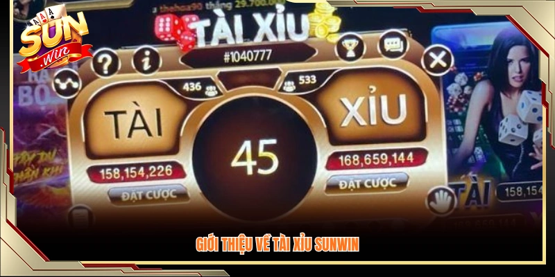 Tổng quan về chế độ tài xỉu Sunwin